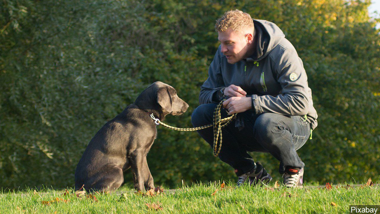 owner and dog
